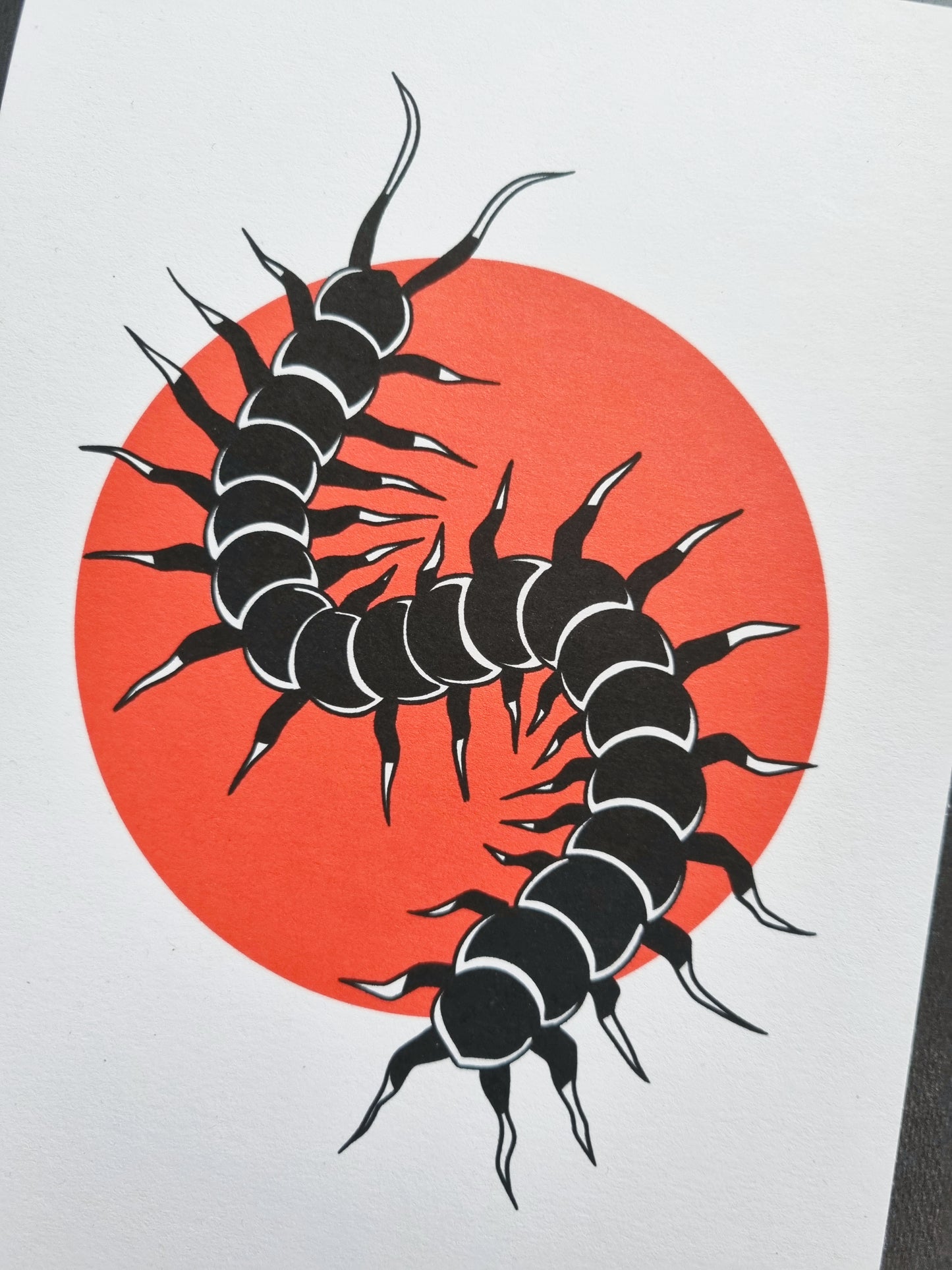 Centipede A5 Art Print - EmilsDoodles
An up close photo of the centipede art print.