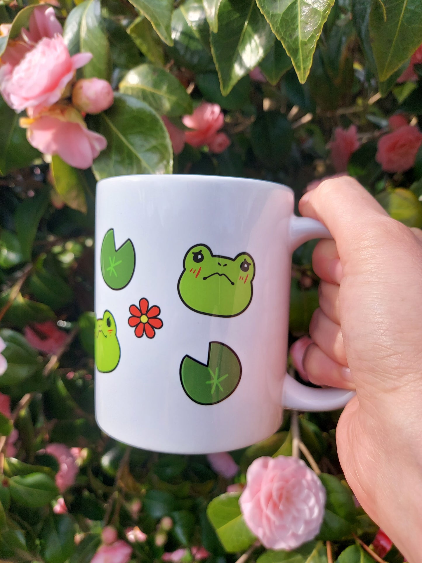 Emotions of a Frog 11oz Mug